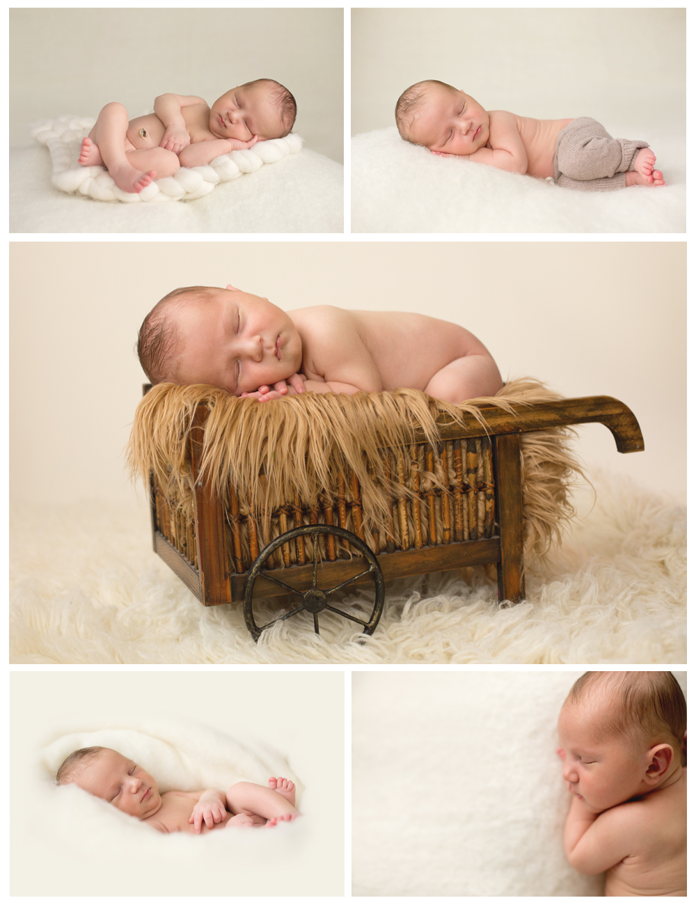 Brookfield Premier Newborn Photographer Sleeping Beauties
