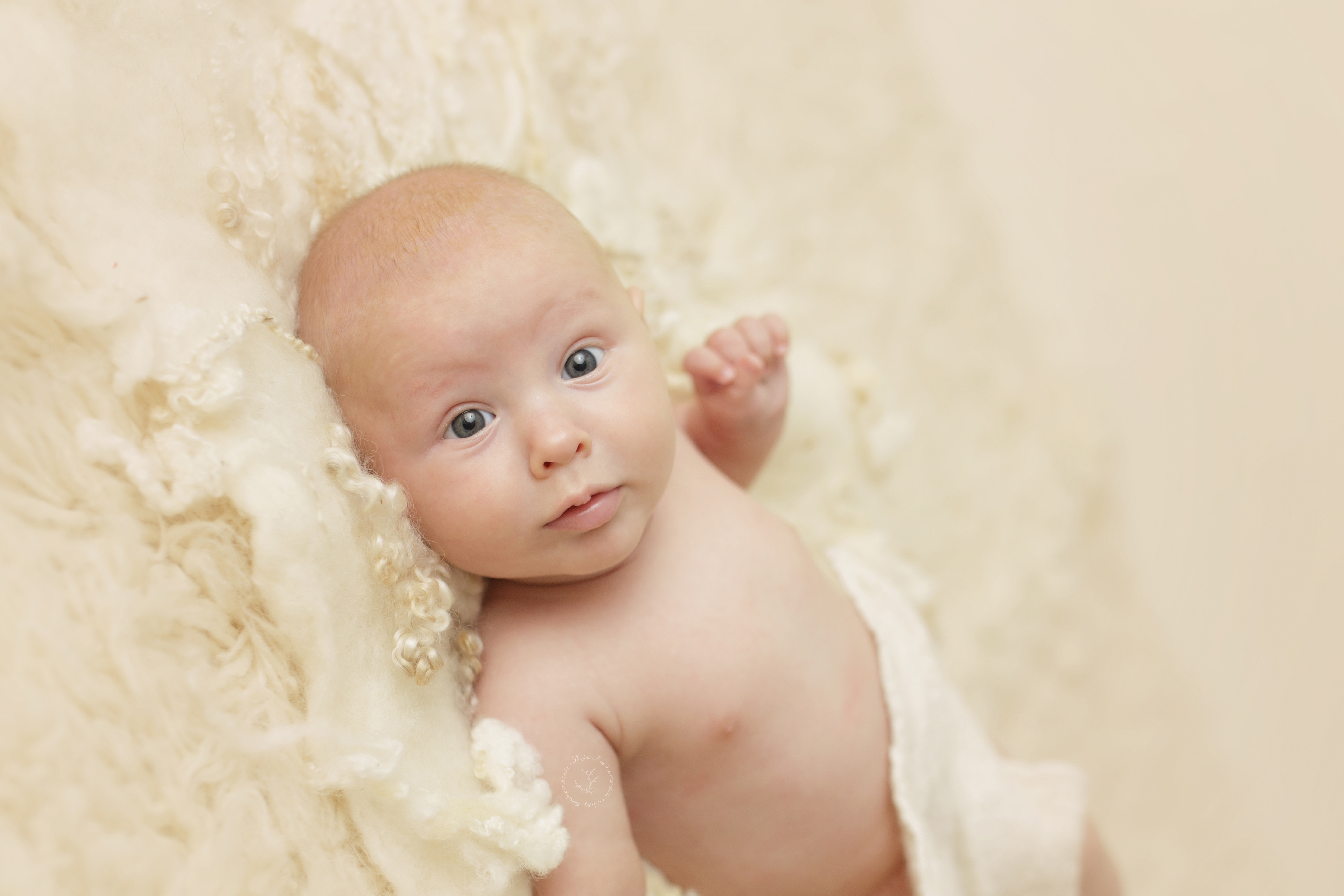 3 month old baby boy photographed on a cream wool flokati rug at our portrait studio in Brookfield, WI.
