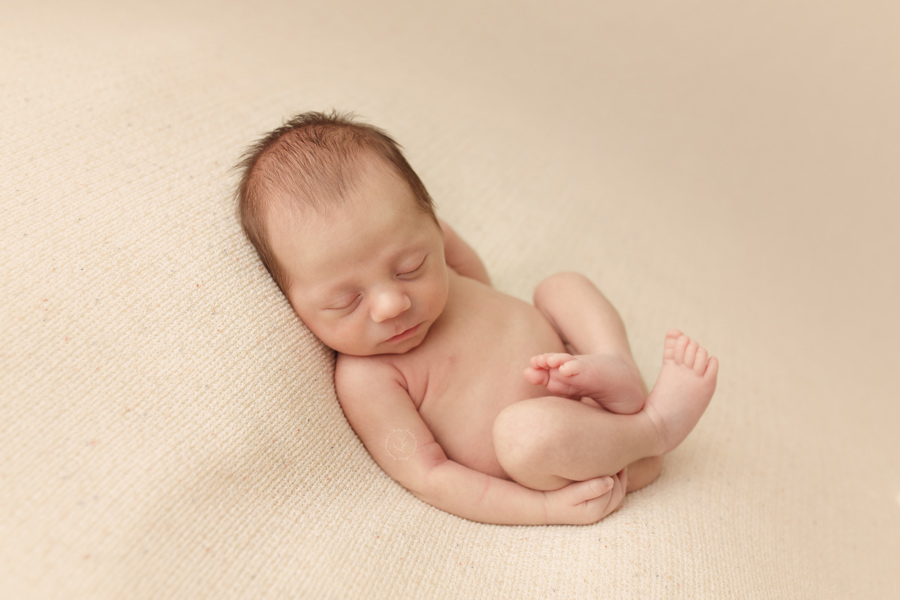 Newborn boy posed in a natural womb posed for his first set of pictures.