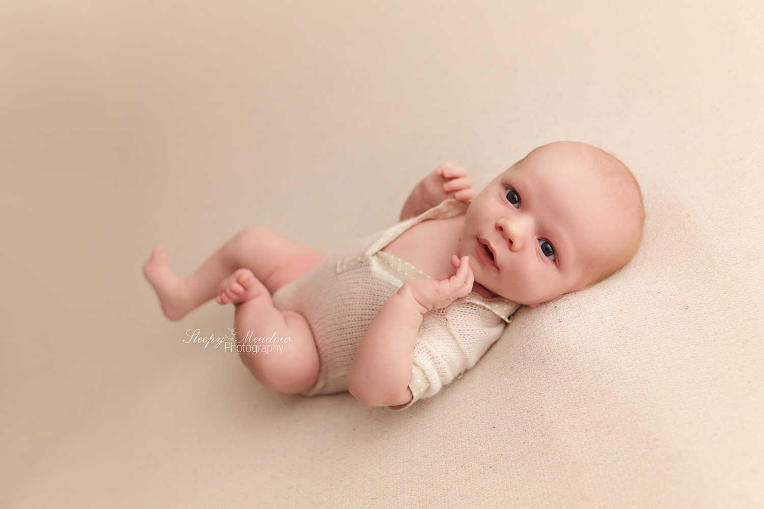 newborn boy photographed on creme backdrop by Sleepy Meadow Photography | Milwaukee Newborn Photographer