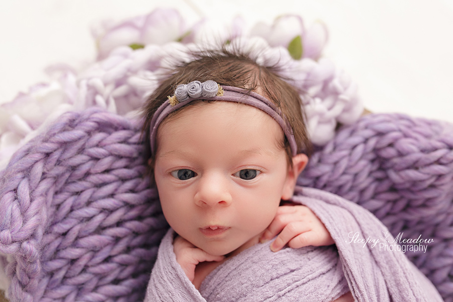 BABY GIRL IN PURPLE FOR HER NEWBORN SESSION | NEWBORN PHOTOGRAPHY BY SLEEPY MEADOW