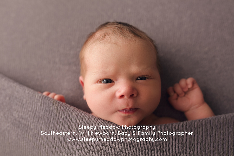 newborn photo session brookfield