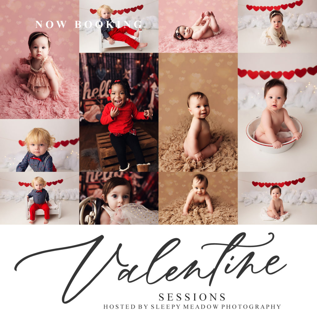 Valentine's Day Mini Sessions in Waukesha, WI by Sleepy Meadow Photography