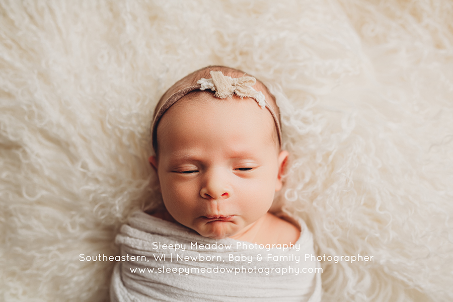 adorable newborn girl | Brookfield Baby Photographer