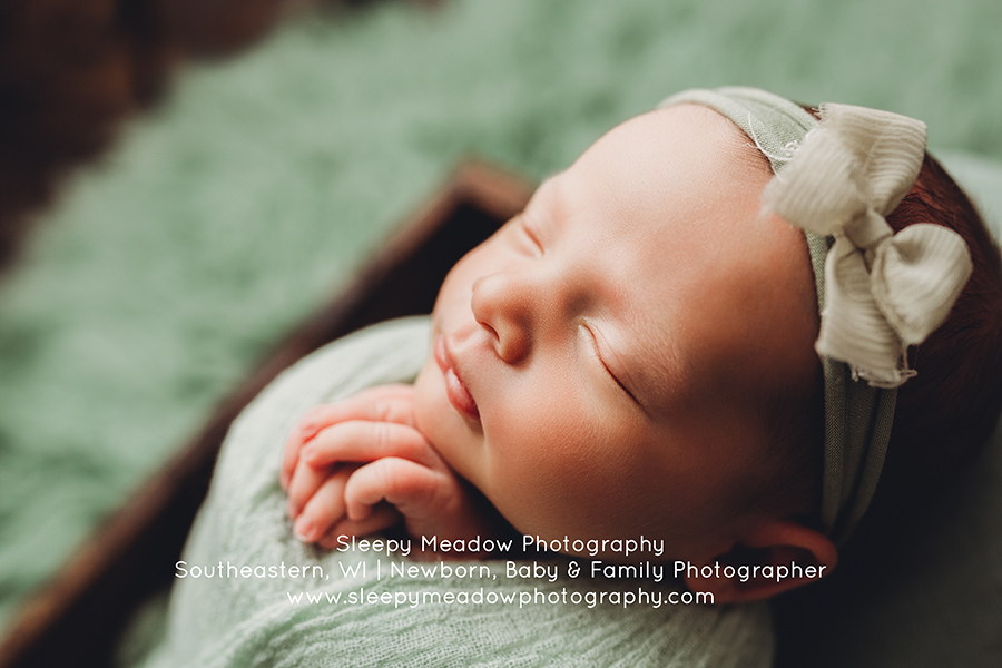 Beautiful newborn girl | Milwaukee Newborn Photographer