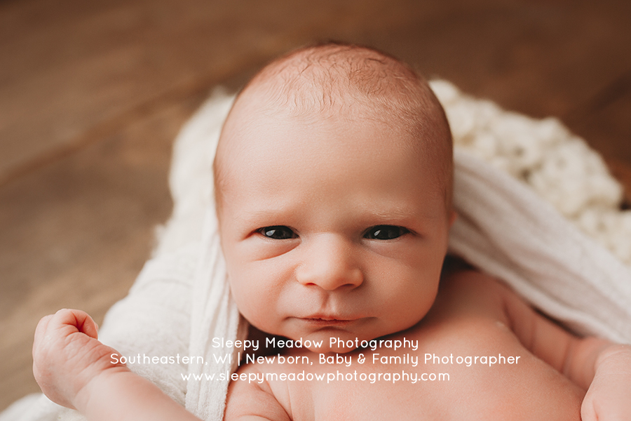 Dennis is bright eyed for his newborn session at Brookfield's premier newborn photography studio.