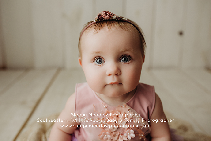Violet's 8 month old session with Brookfield's top baby photographer.