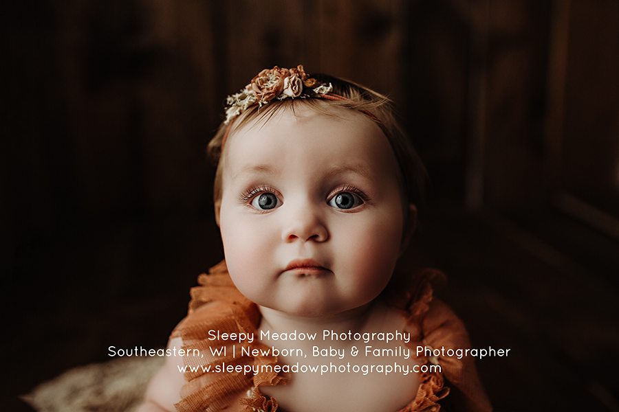 Violet's 8 month old photo session with Sleepy Meadow Photography of Milwaukee.